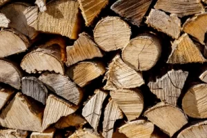 Palivové dřevo