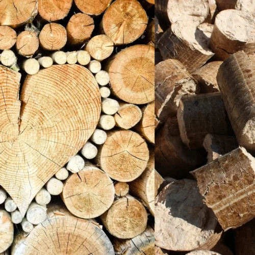 Měkké dřevo, tvrdé dřevo nebo brikety: Co topí nejlépe?